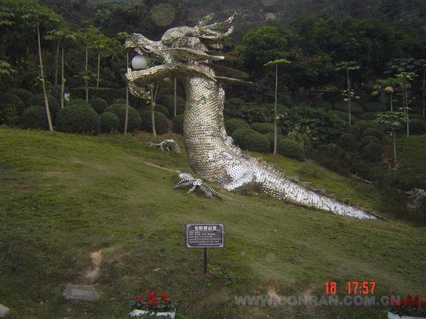 青青世界 七彩穿山龍